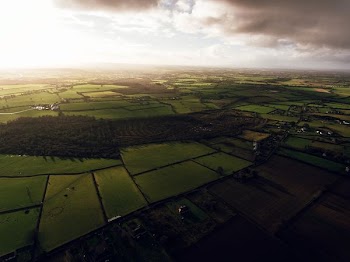 aerial photography of paddies