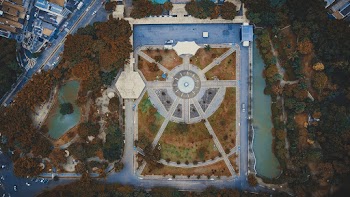 Aerial Photography of Park Surrounded by Green Trees