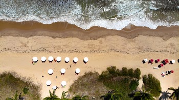Aerial Photography of People on Beach