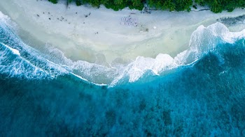 Aerial Photography of People on Seashore