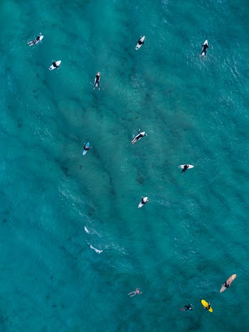 Aerial Photography of People on Surfboard in Body of Water