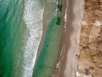 Aerial Photography of People on the Beach