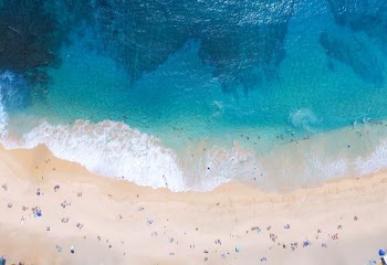 aerial photography of people swimming and sitting in beach during daytime