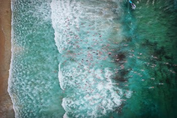 Aerial Photography of People Swimming in the Sea