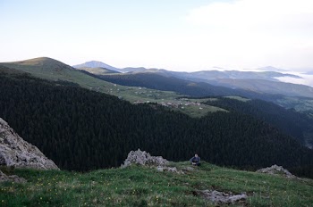Aerial Photography of Person Sitting on Green Grass Field