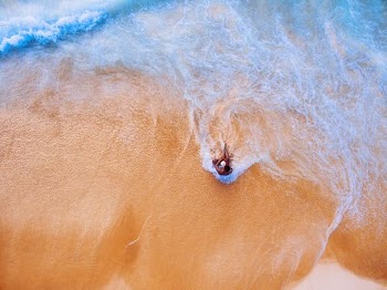 aerial photography of person sitting on sea