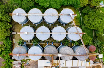 Aerial Photography of Platation
