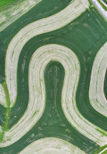 Aerial Photography of Race Track