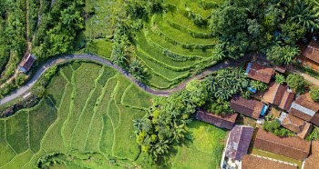 Aerial Photography Of Rice Terraces