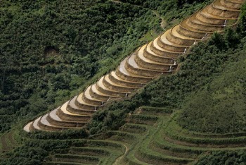 Aerial Photography Of Rice Terraces