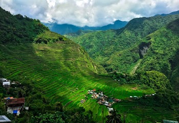 Aerial Photography of Rice Terraces 