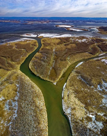 Aerial Photography of River