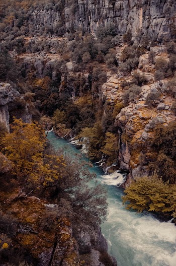 Aerial Photography of River