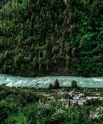 Aerial Photography of River