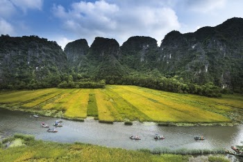 Aerial Photography of River