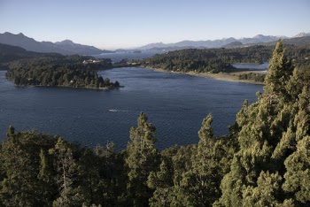 Aerial Photography Of River And Trees