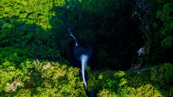 Aerial Photography Of River Between Forest