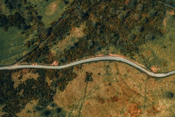 Aerial Photography of Road