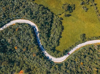 Aerial Photography of Road