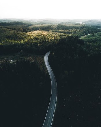 aerial photography of road