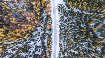 aerial photography of road beside yellow and orange maple trees