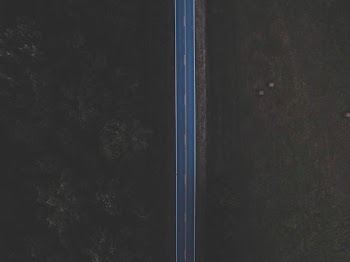 aerial photography of road between grass and trees