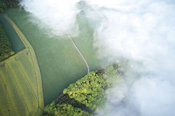 aerial photography of road between grass field
