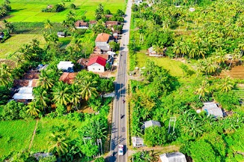 Aerial Photography of Road Between Trees