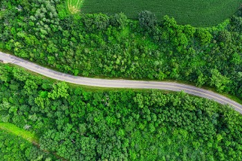 Aerial Photography of Road Between Trees