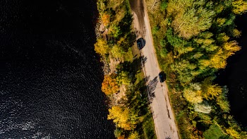 Aerial Photography of Road Between Trees on Body of Water