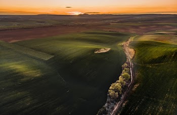 Aerial Photography of Road Near Trees