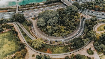 Aerial Photography of Roads and Trees