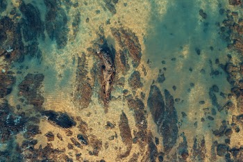 Aerial Photography of Sea