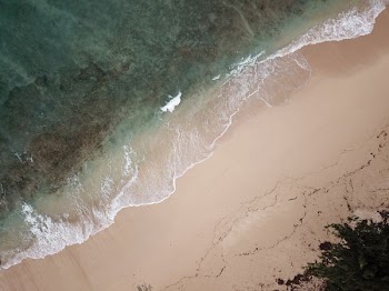 aerial photography of seashore