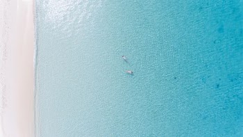 aerial photography of seashore