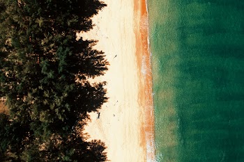 Aerial Photography of Seashore