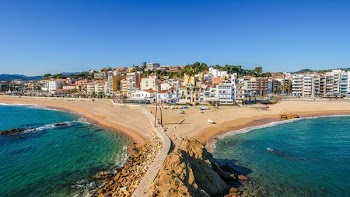aerial photography of seashore