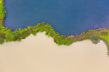 Aerial Photography of Seashore Near Ocean