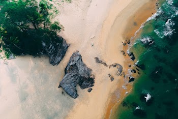 Aerial Photography of Shore and wate