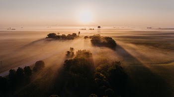 aerial photography of sunrays on tree