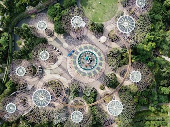 aerial photography of Supertree Groove, Singapore during daytime