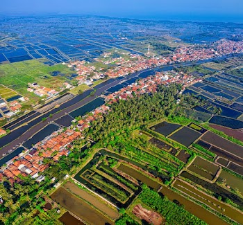 Aerial Photography of Town