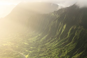 Aerial Photography of Tree Covered Mountain