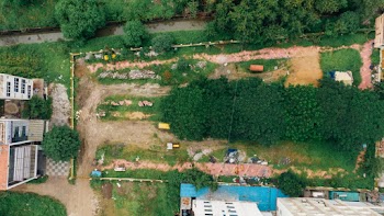 Aerial Photography of Trees