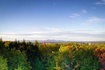 Aerial Photography of Trees and Mountain