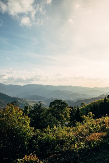 Aerial Photography Of Tress And Mountain Range