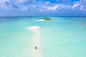Aerial Photography of Two Person Walking on Seashore