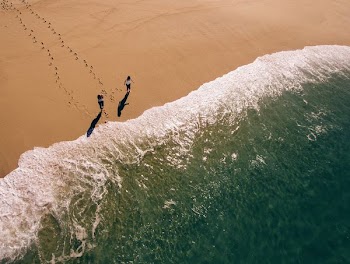 aerial photography of two person walking on shore