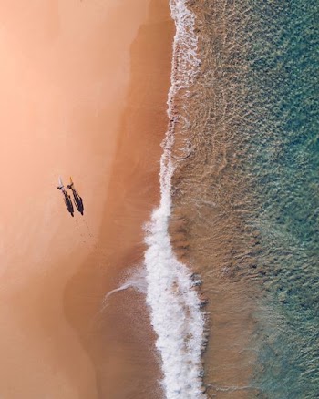 aerial photography of two persons walking along seashore during daytime