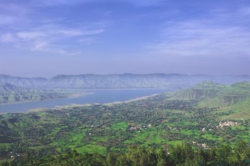 aerial photography of village surrounded by green trees